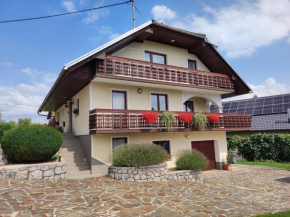 Spacious Countryside Flat - 25 minutes from Ljubljana